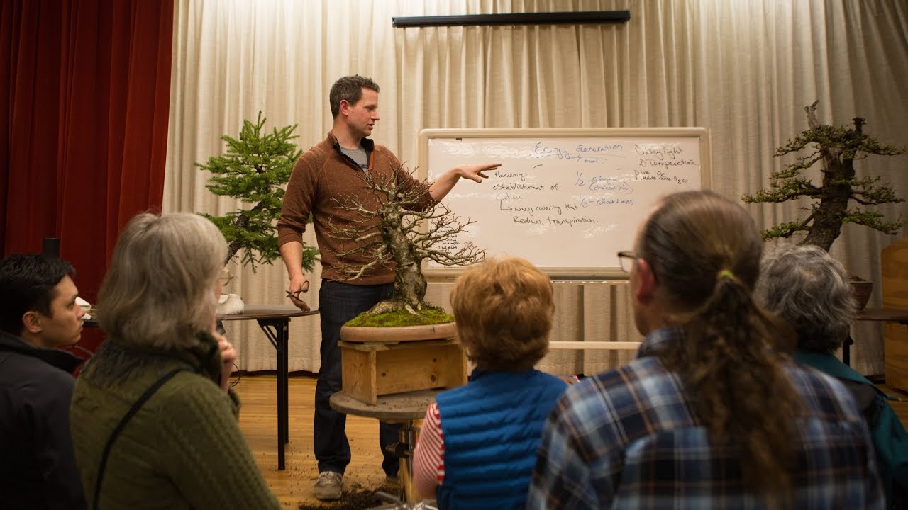 BSOP Series: Spring Fundamentals