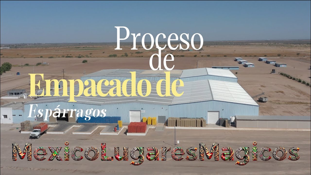 Proceso de Empacado de Esp&aacute;rragos