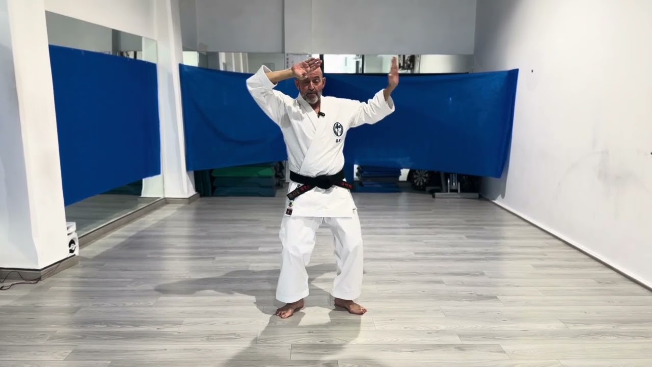 Kata Pinnan Yodan con relativa spiegazione 