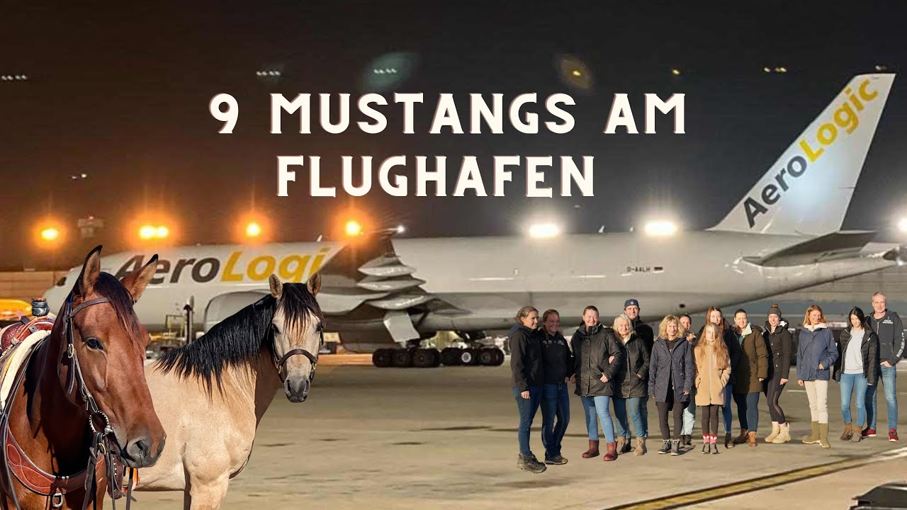 Wie es sich wohl anfühlt, wenn man zum ersten Mal seinen Mustang sieht?❤️