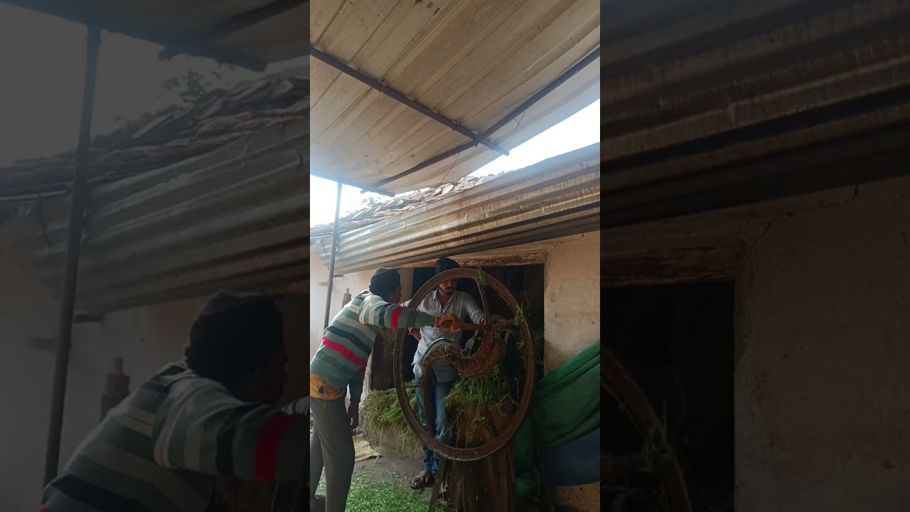 ‼️DAY FRISHT MINI VLOG video ‼️ #viral #vlog #farming #video 