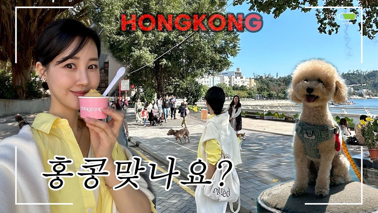 여긴 꼭 가봤으면 좋겠다 #홍콩의부촌 스탠리베이 & 리펄스베이❤️ #홍콩여행 #홍콩브이로그