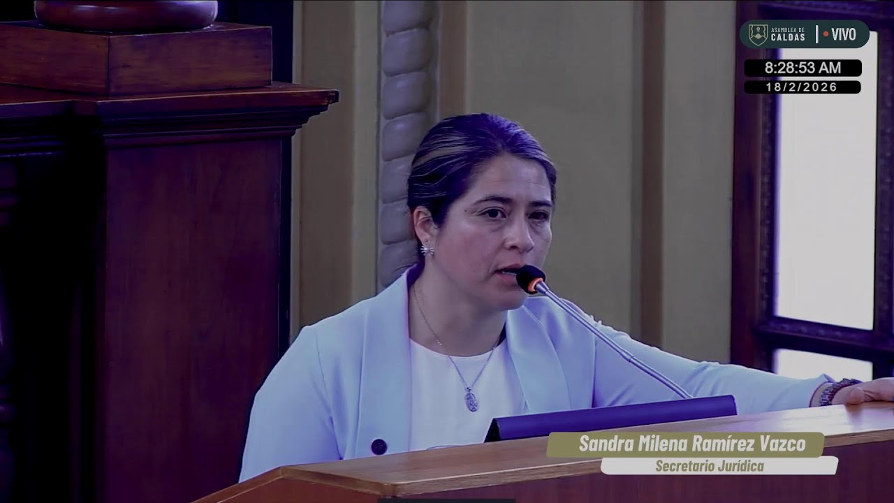 18 de febrero 2026 - Sesión Plenaria