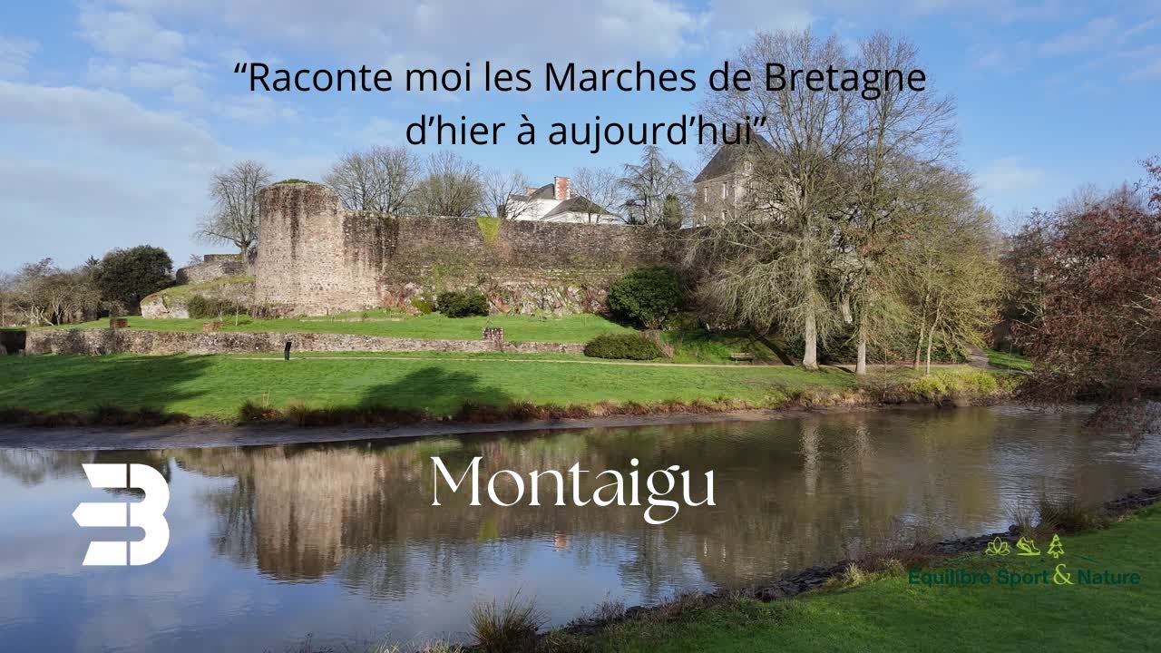 # 5 Les Marches de Bretagne : Montaigu 