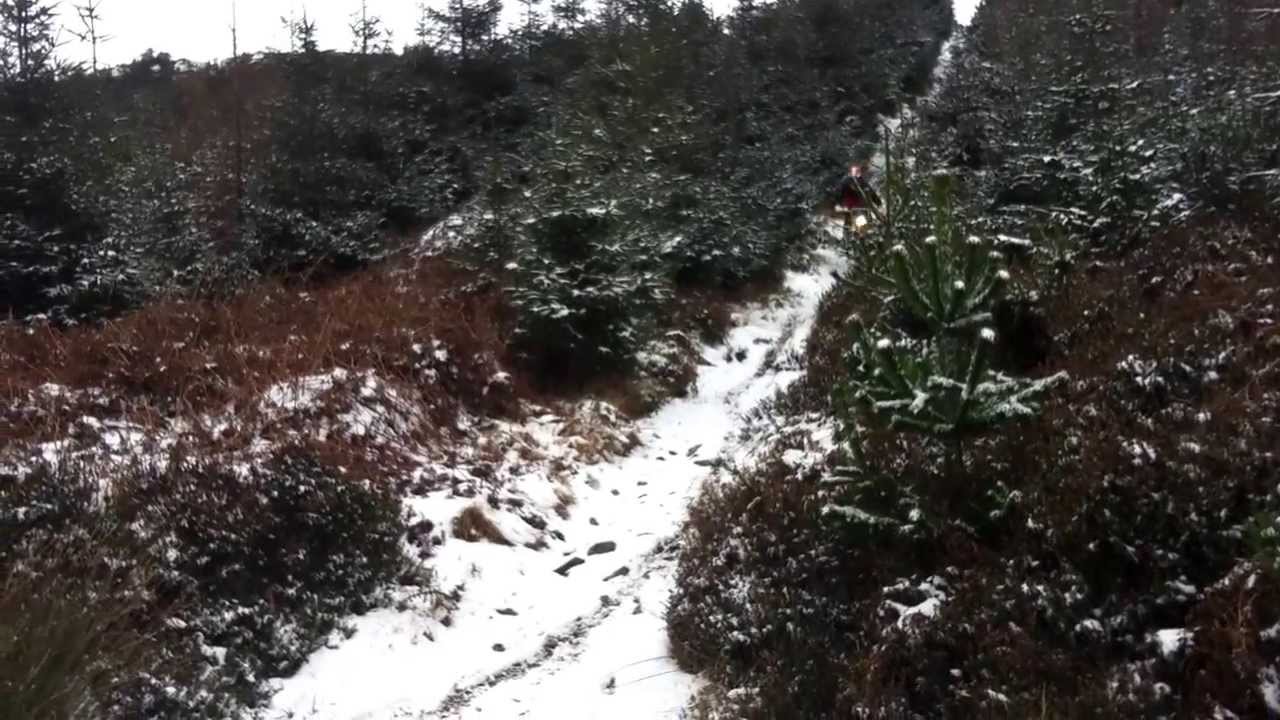 Crfx250 in the snow