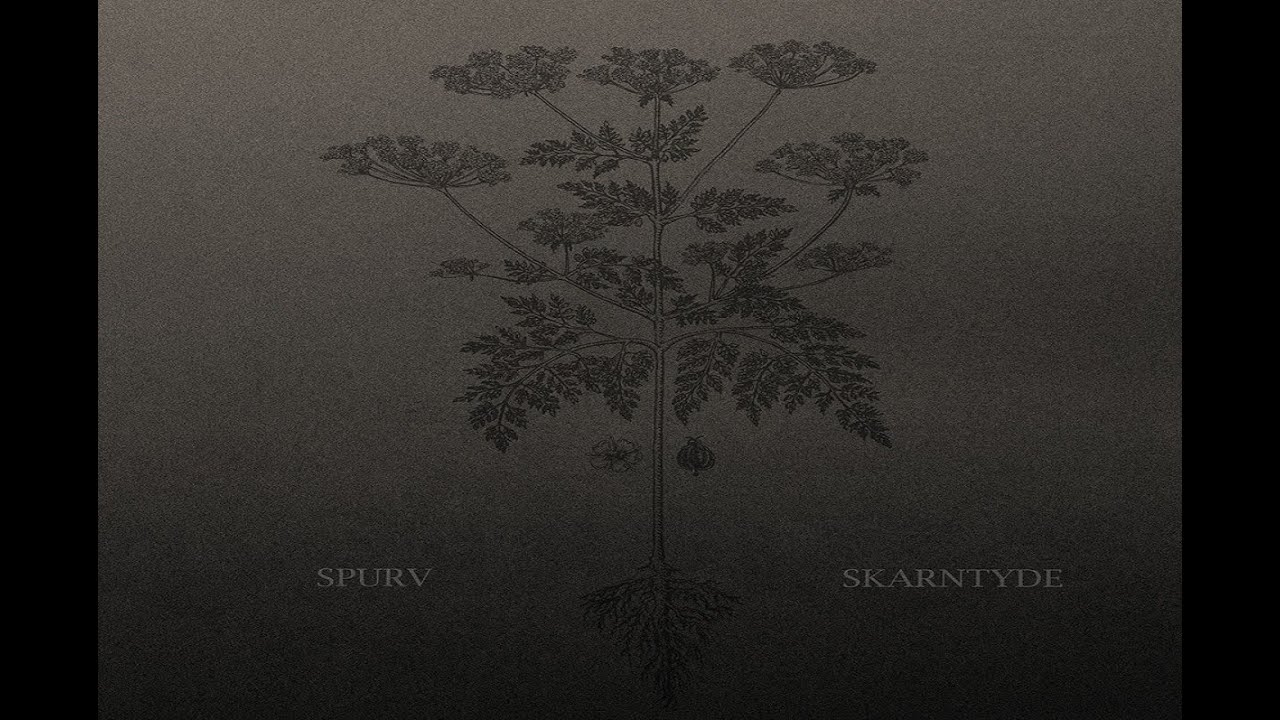 Spurv - Skarntyde [Full Album]