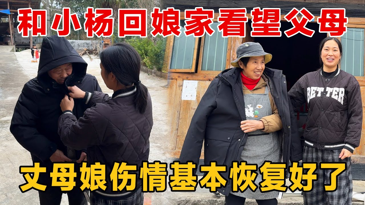 和小杨回娘家看望父母，丈母娘的伤情基本恢复了，生活完全能自理了