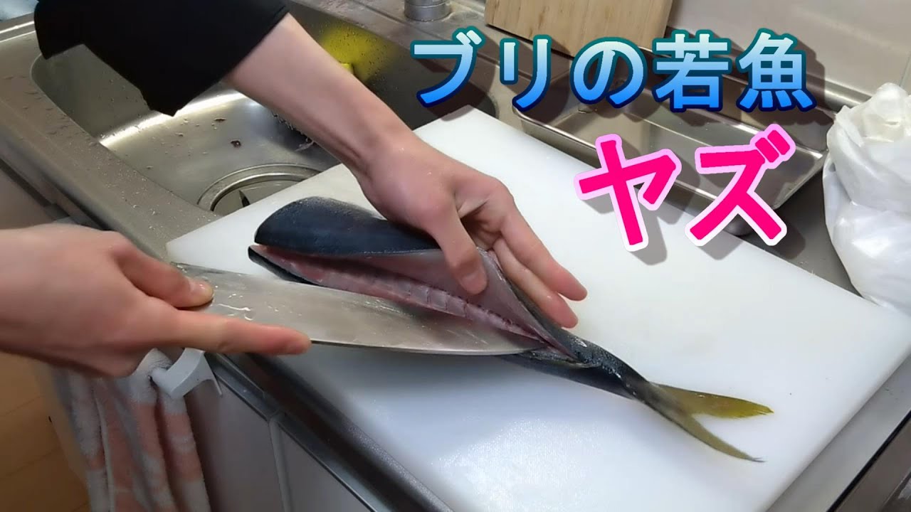 【職人技】５年魚を捌き続けた男のヤズの捌き方