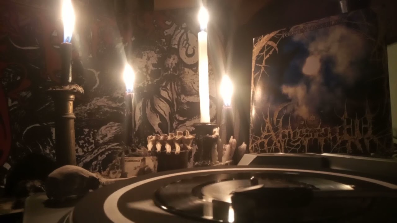 EL VINO NEGRO Split 7