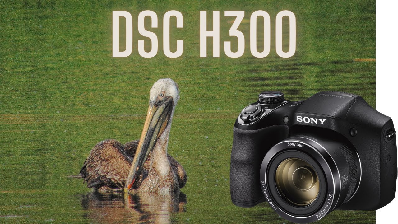 Sony DSC-H300 | Mejores Fotografías