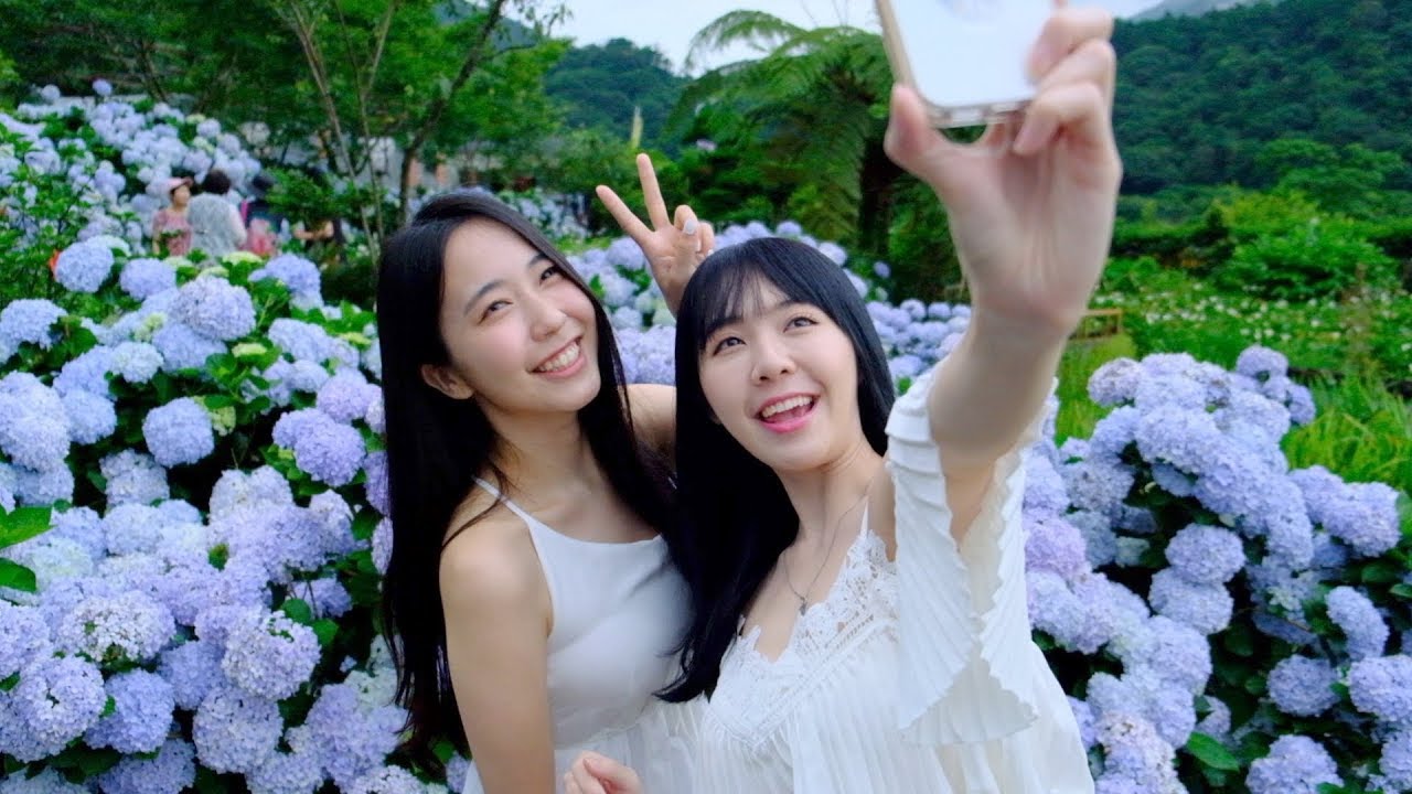 韓國女生第一次到竹子湖看繡球花