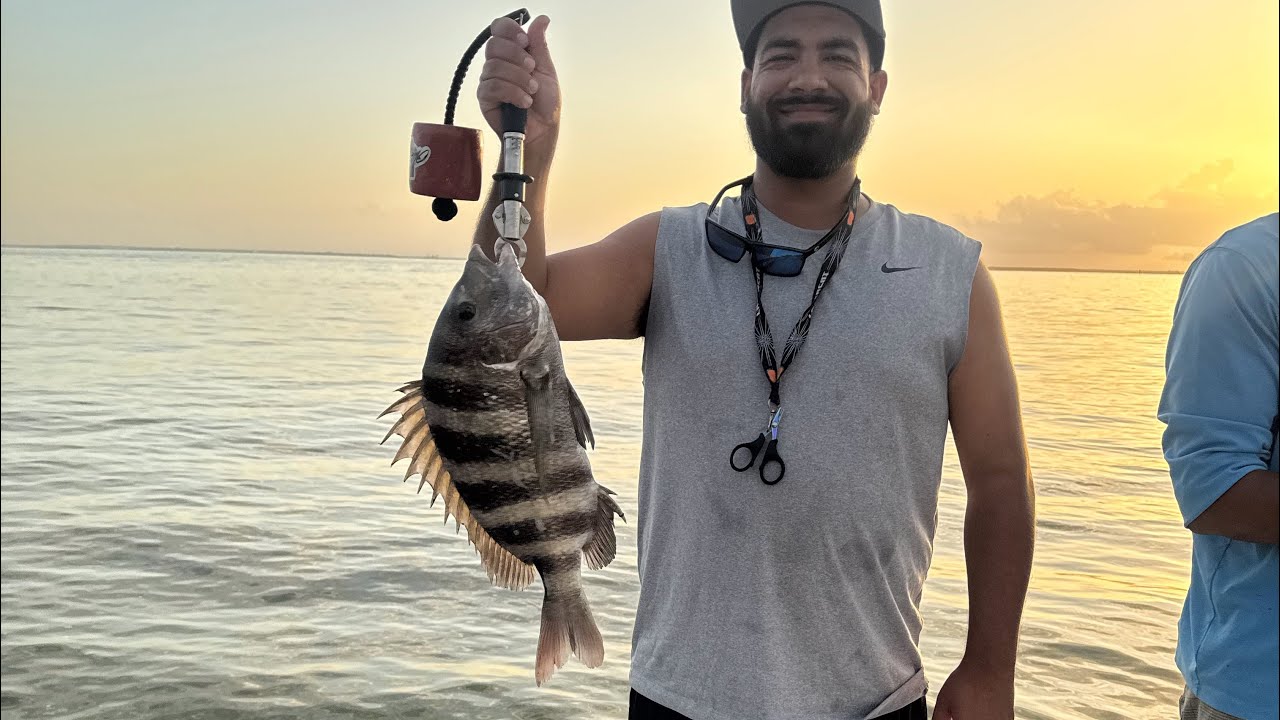 My Boy First Ever sheephead 🎣🔥