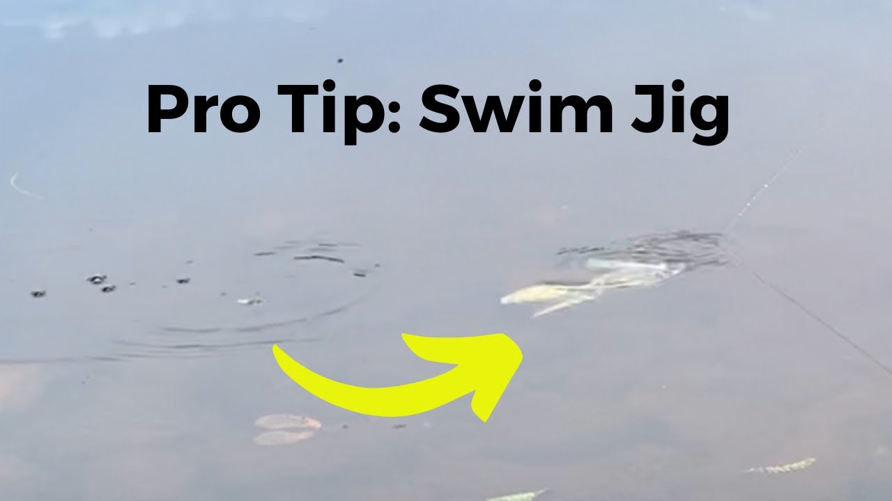 Pro Tip: The Swim Jig Alabama Shake!