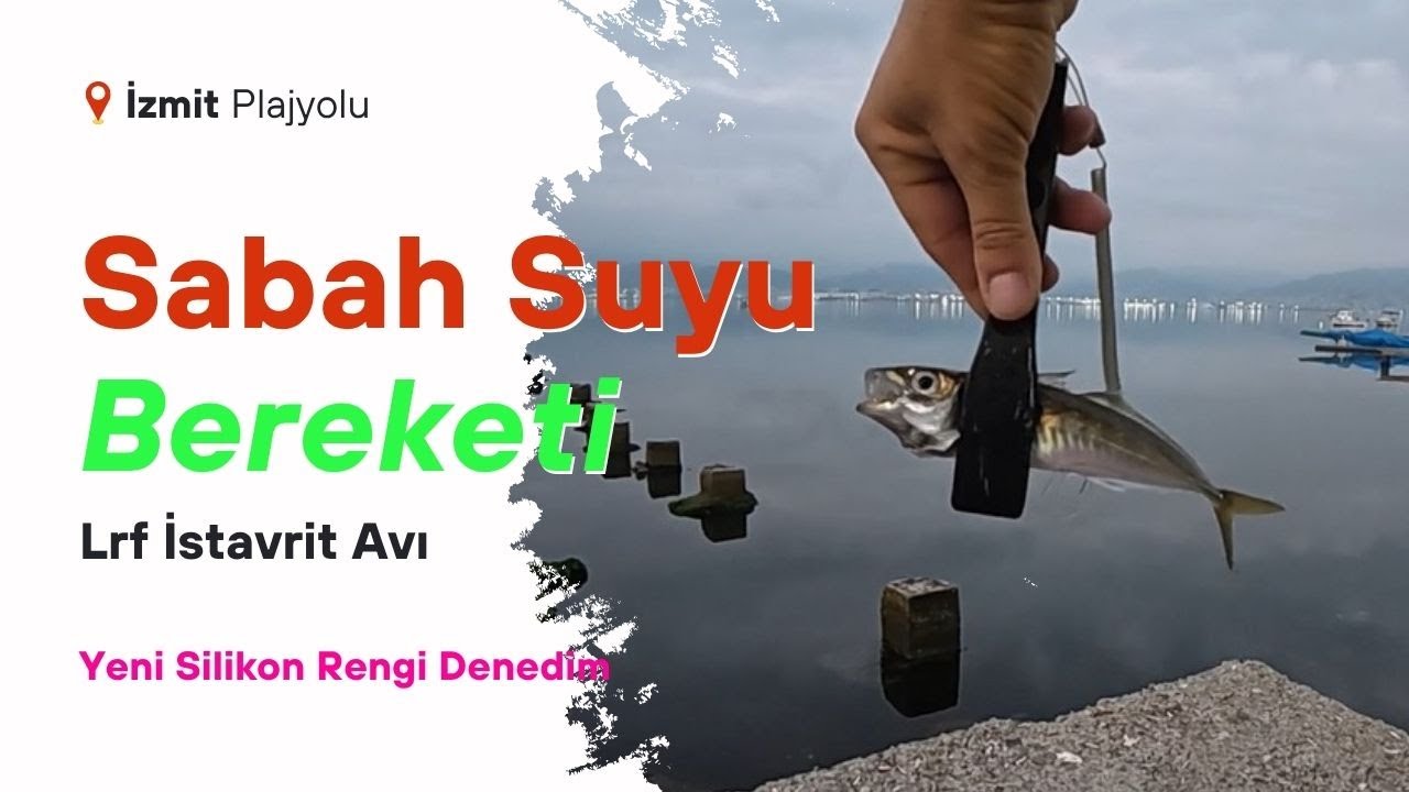 Sabah Suyu Bereketi - İzmit Lrf İstavrit Avı