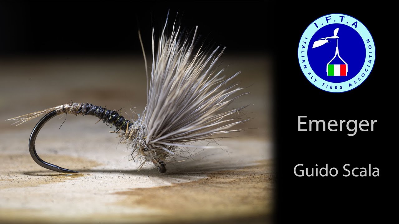 Emerger - Tied by Guido Scala - Italian Fly Tiers Association - Wet fly tying tutorial