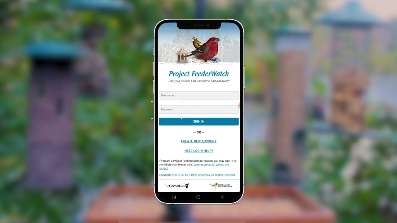 FeederWatch Getting started with the app