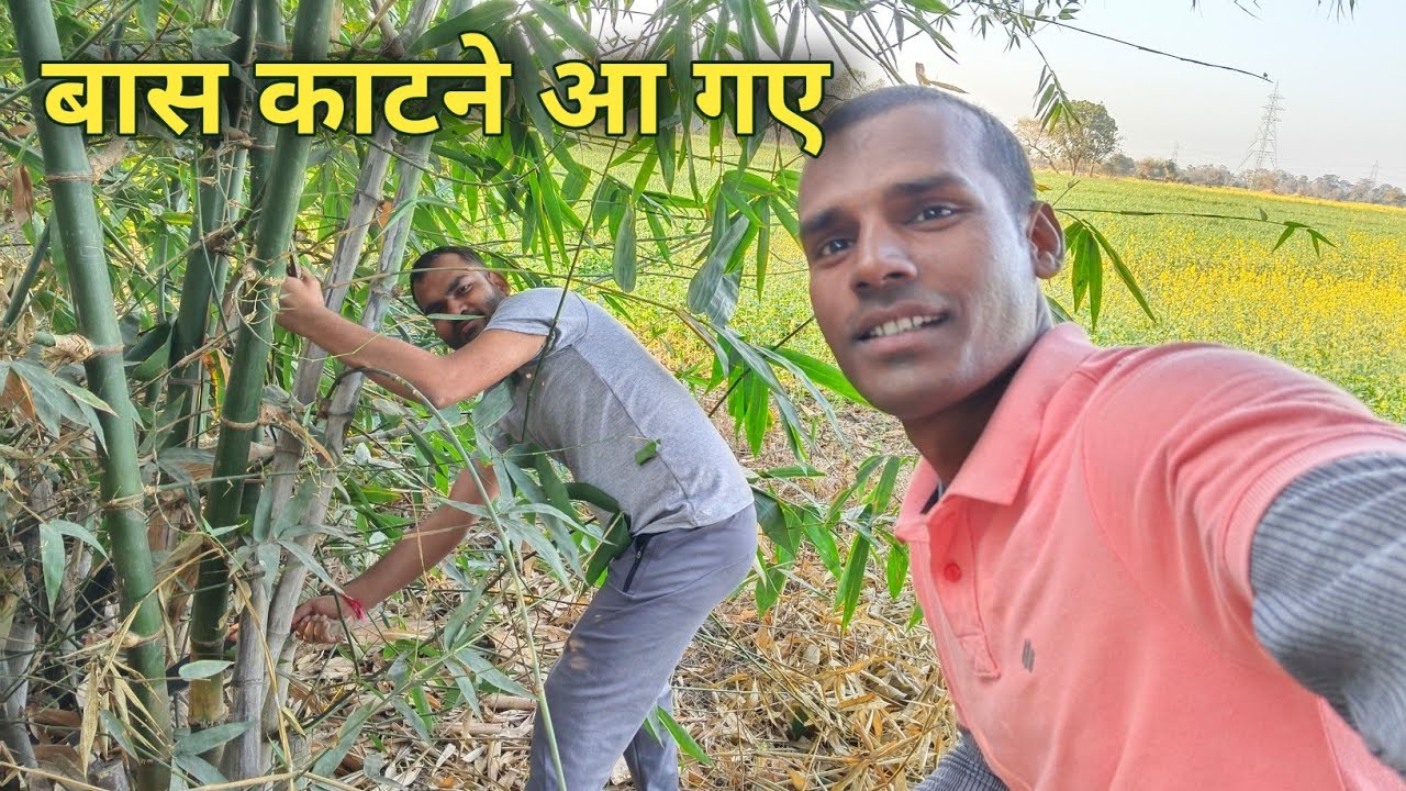 झंडा के लिए बास काटने आ गए 😃