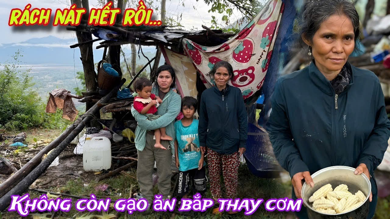 Gia đình nghèo sống trên núi, ăn BẮP thay CƠM, đùm túm trong căn chòi DỘT NÁT../602