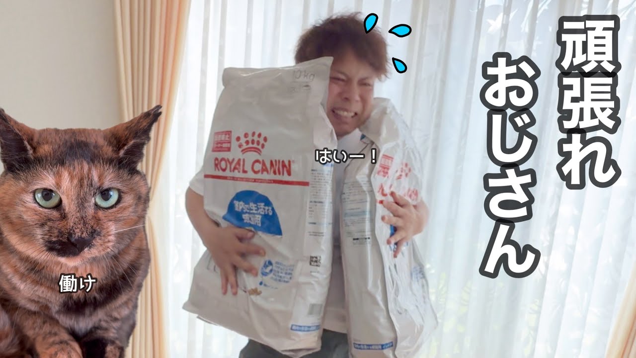 頑張れ用務員！猫のために働くおじさん。
