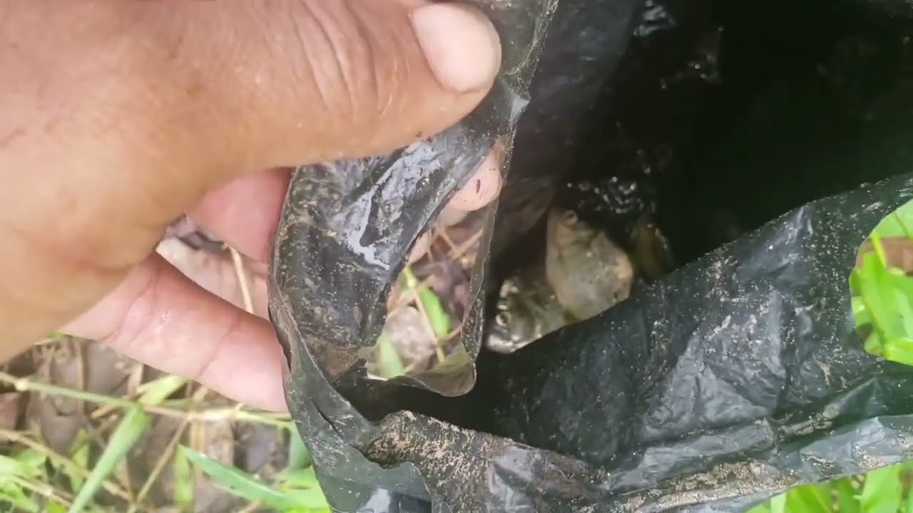 O importante e pescar nao tamanho do peixe 