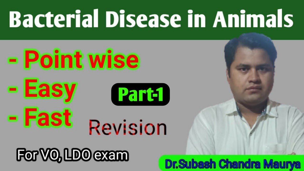 Bacterial Disease of Animals/ Very Fast revision/ Veterinary Microbiology/ Crazy Vet Classes/VO/LDO