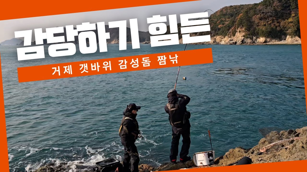 오랜만의 거제 여차 갯바위 덩어리 감성돔 낚시 출조