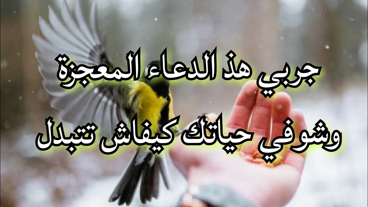 كلشي رآه معكسلك و حبيبتي تتبدل حياتك جربي هذ الدعاء المعجزة وشوفي الفرق في المال و البنون و السكن 