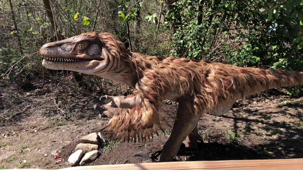 Dinosaurs - Memphis Zoo