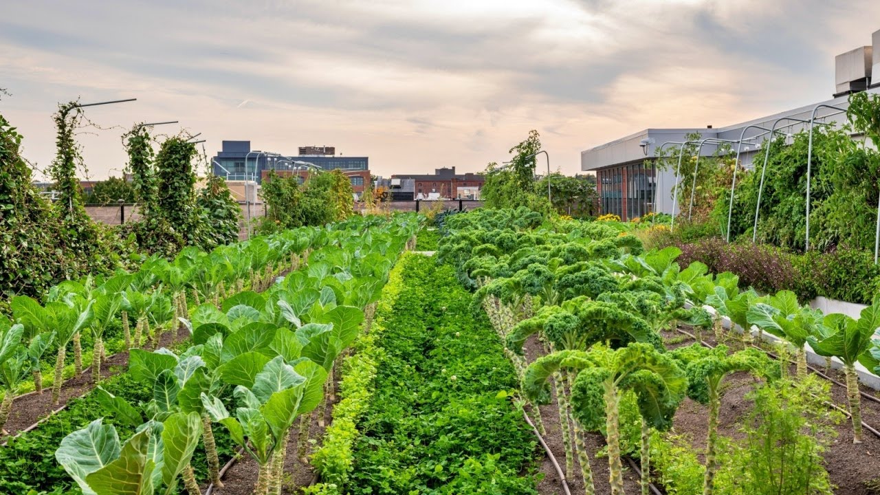 Boston Medical Center Newmarket Farm - Featured Project