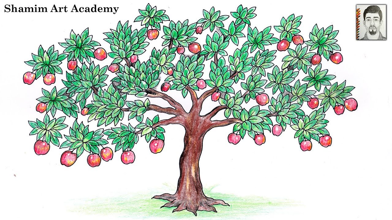 How to Draw  Apple Tree (Very Easy Drawing)