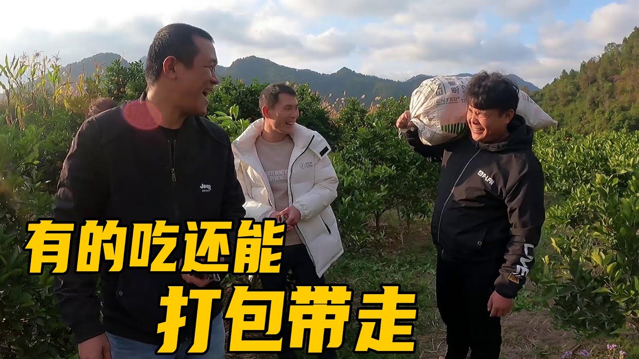 老肥敏锅去阿欢家，一路感受美丽的风景，还尝到了香甜可口的蜜橙【农人老肥】