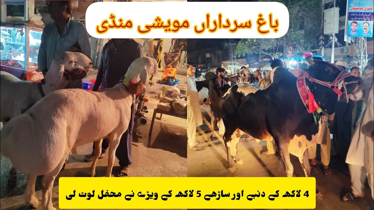 Bagh Sardaran Maweshi Mandi Rawalpindi 2024