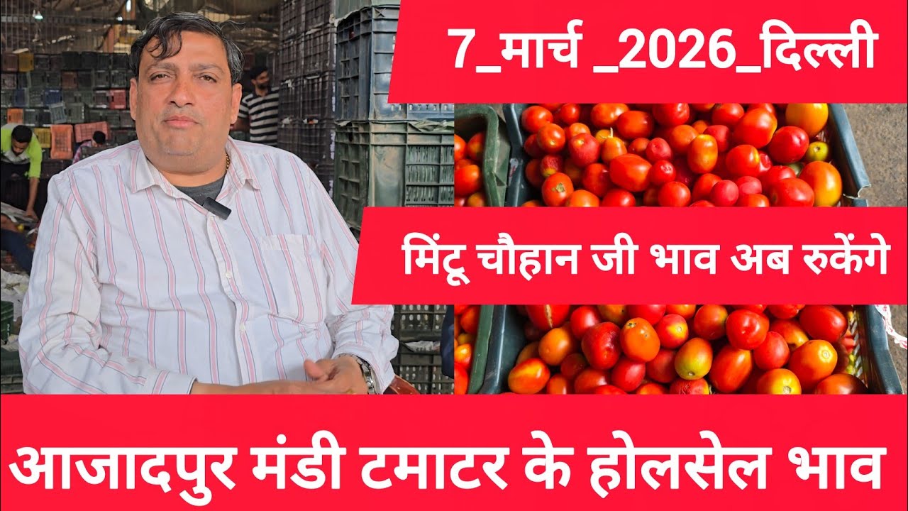 7 March 2026 दिल्ली 🍅टमाटर के भाव azadpur Delhi mandi today tomato market price #tomatomarket 