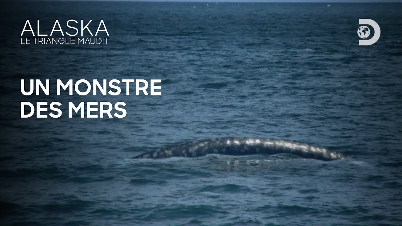 Le monstre du LOCH NESS d'Alaska ... Alaska Le Triangle Maudit
