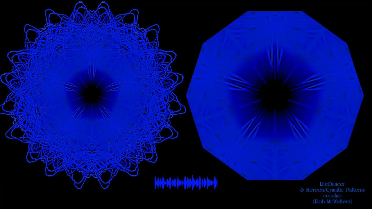 LifeDancer Visualization