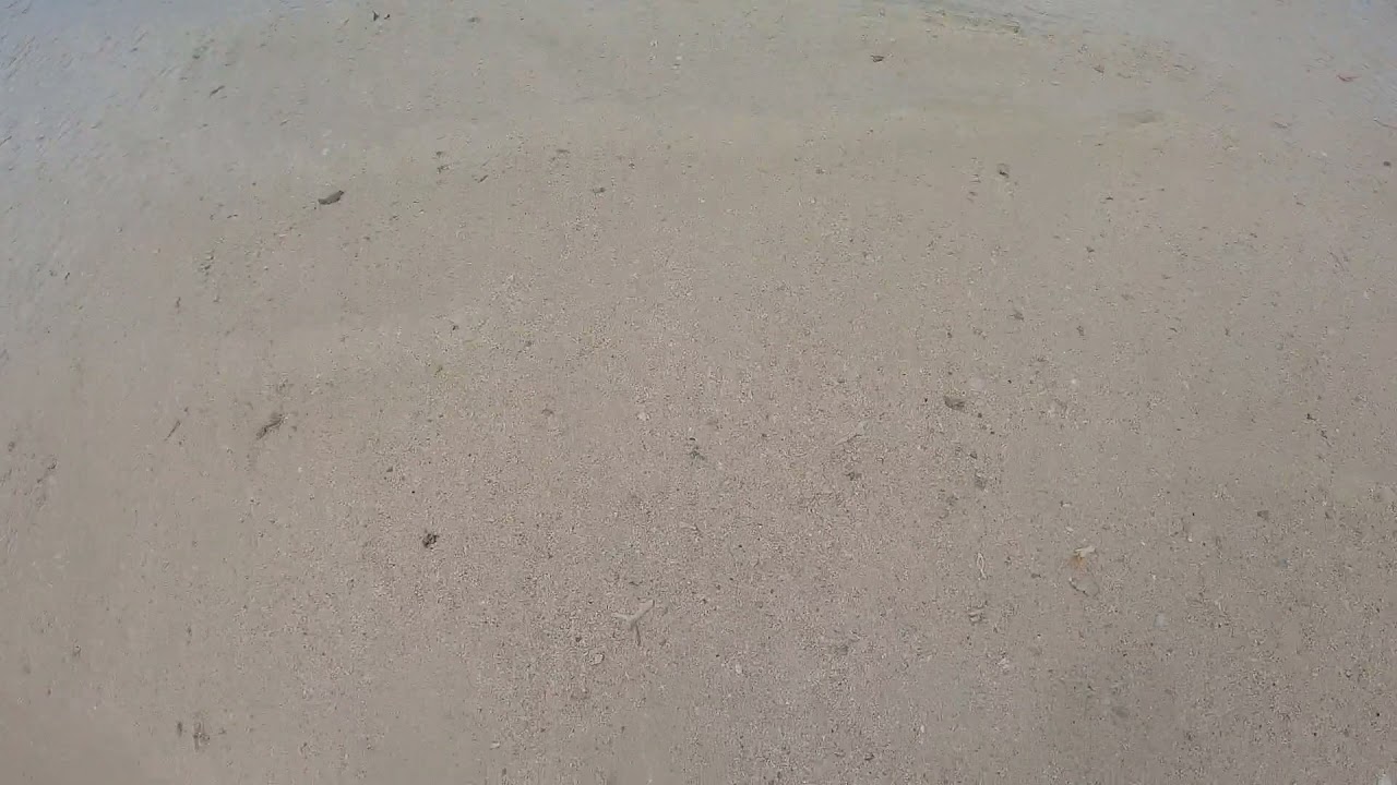 MJ16: Alibijaban Island - Sandbar
