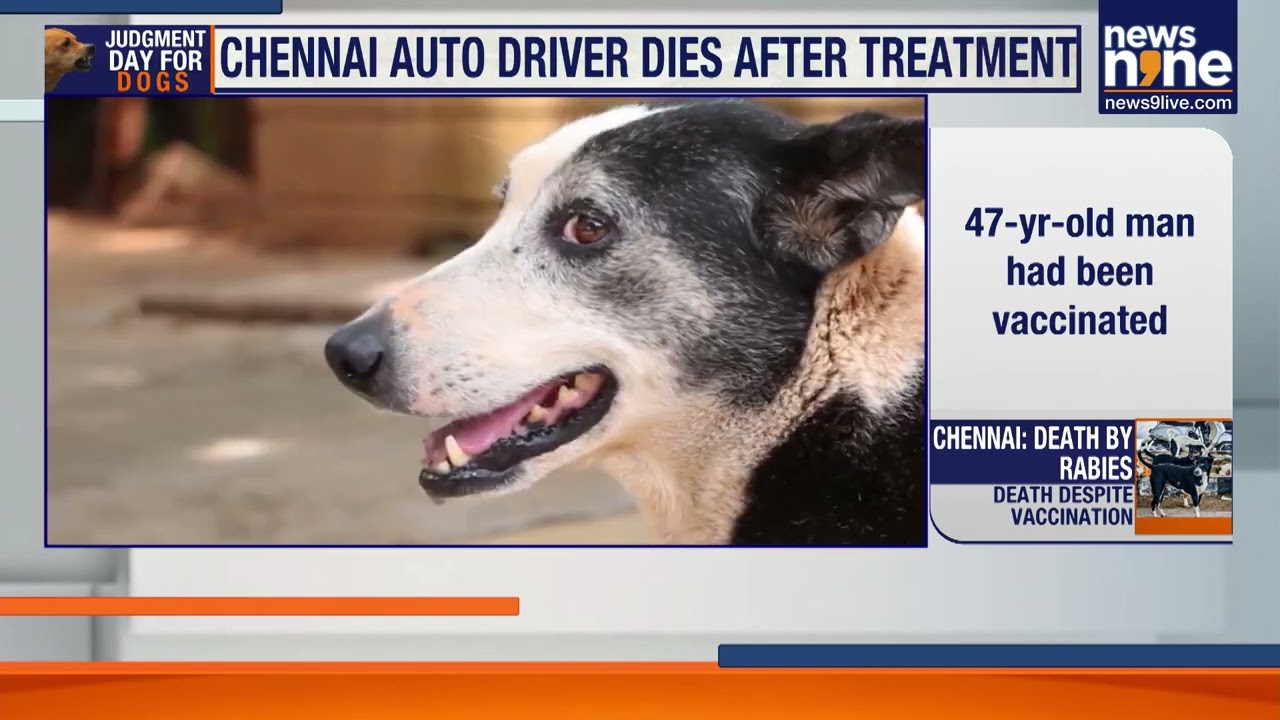Chennai Shock: Man Dies of Rabies Despite Full Vaccine | Public Health Alarm | News9
