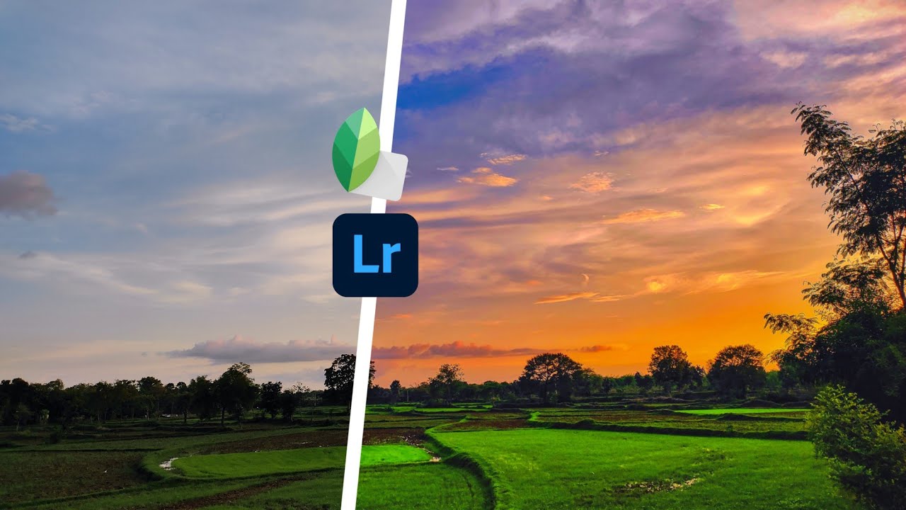 Snapseed and Lightroom Wonderful Nature Photo Editing | Nature Photo Editing