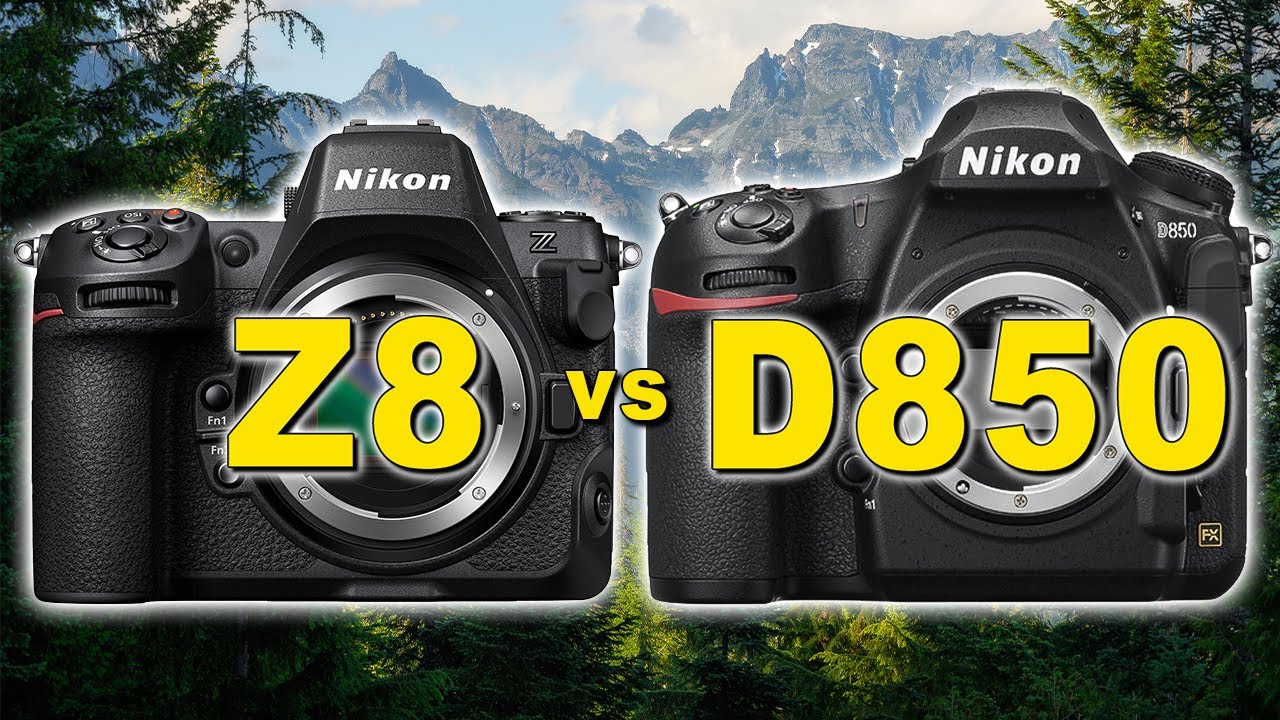 Nikon Z8 против Nikon D850 — обзор качества изображения