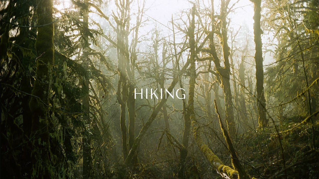 Sunrise hike with a Leica M6 and Olympus Infinity Mini on Kodak Vision3 500T film.