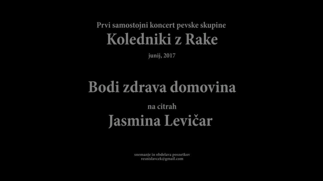 08 - Bodi zdrava domovina, na citrah Jasmina Levičar