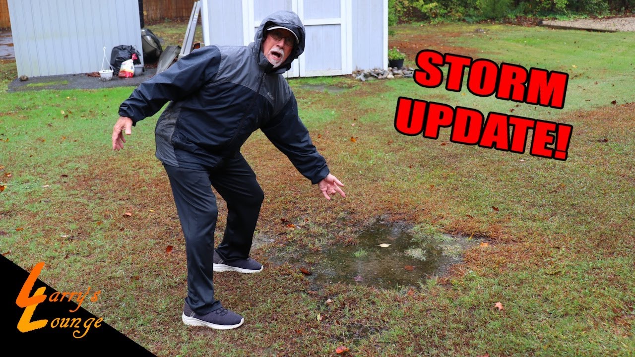 Обновление по Nor'easter!