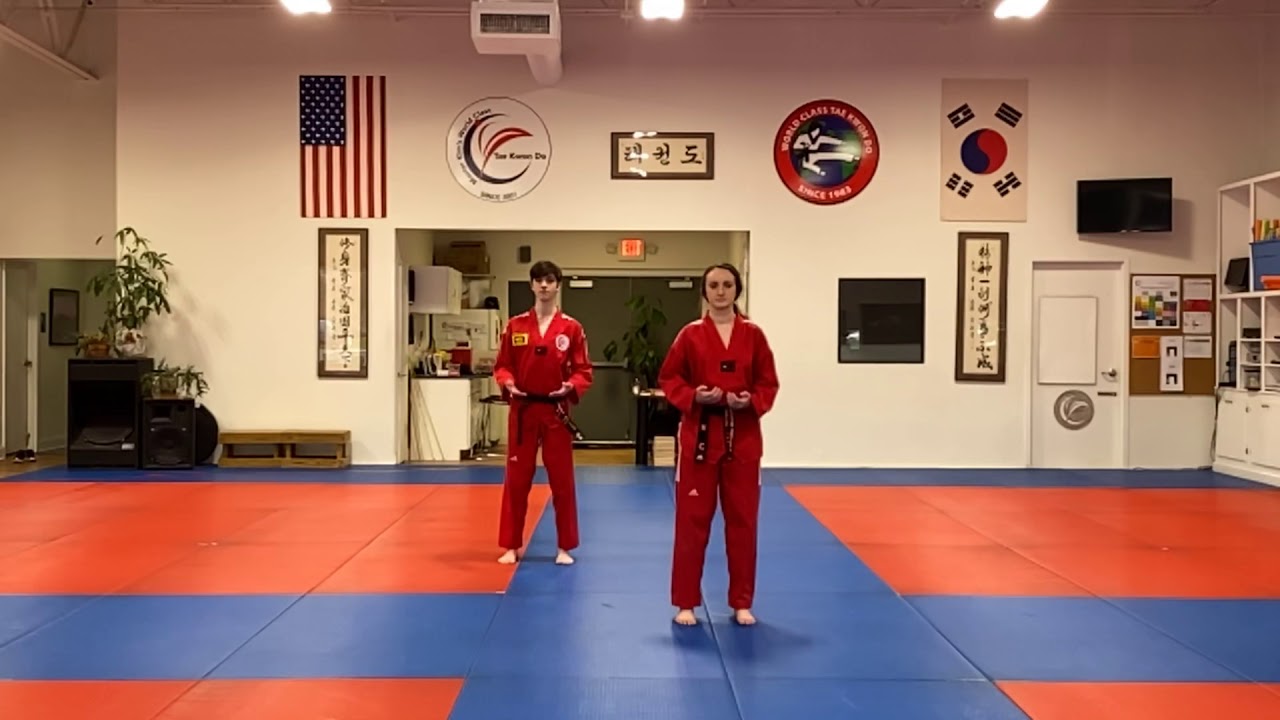 Blue Stripe Form (Taegeuk Sa Jang)- With Count