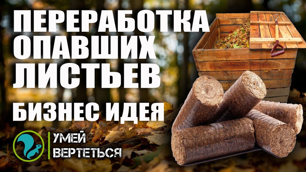 Переработка опавших листьев. Бизнес идея