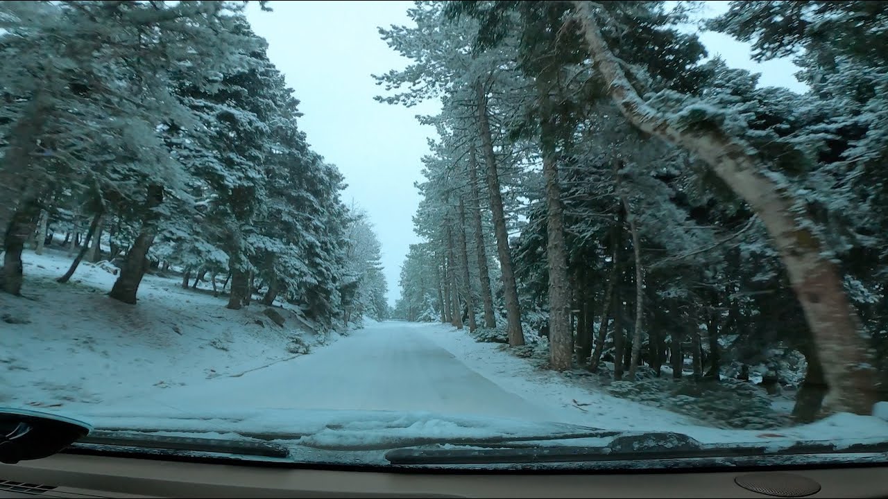 Τελευταία χιόνια χειμώνας 2023, Πάρνηθα - Spring Snowfall, Parnitha Mountain, Greece