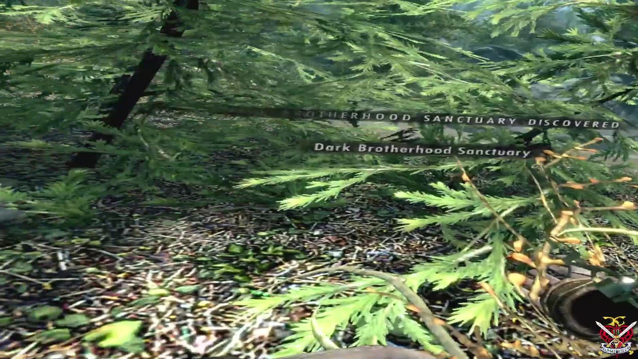 Kunaikilla Plays: The Elder Scrolls V: Skyrim VR p5