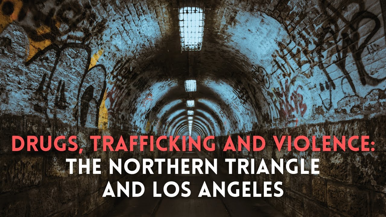 Drugs, Trafficking and Violence: the Northern Triangle and LA