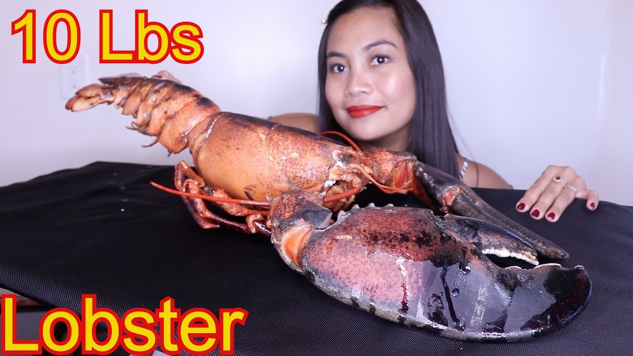 10 Lbs Lobster Mukbang