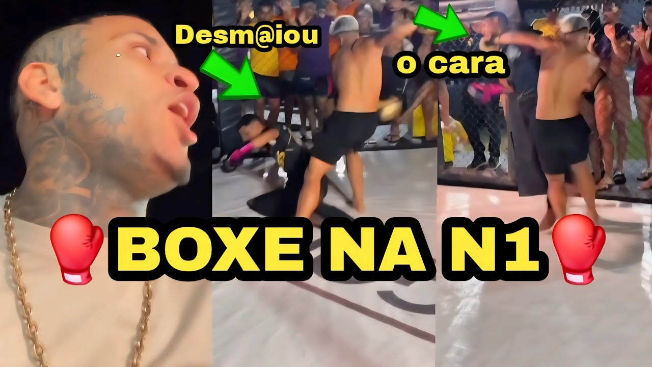 3°DIA DA NOVA TEMPORADA DA N1-BOXE NA N1🥊