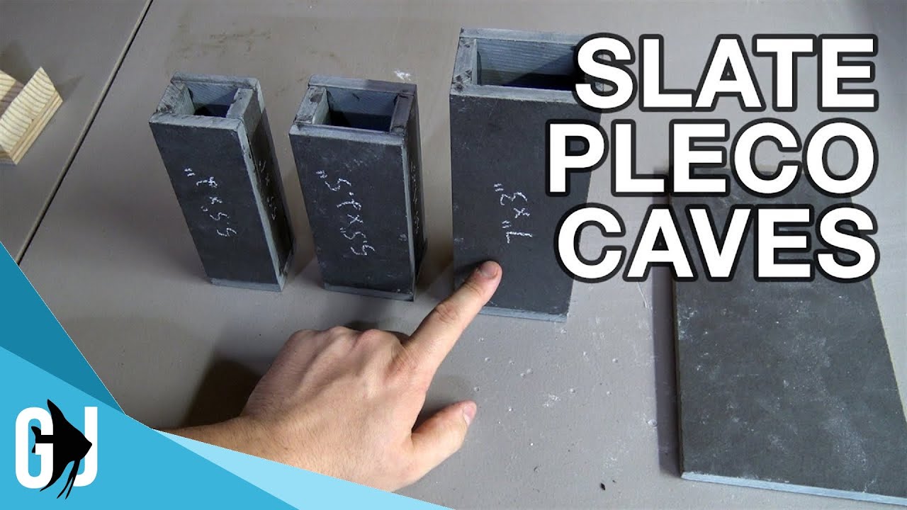 #568: DIY SLATE PLECO CAVES - Update Monday